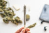 how to roll a joint guide