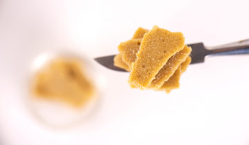 A Beginner’s Guide to Cannabis Concentrates
